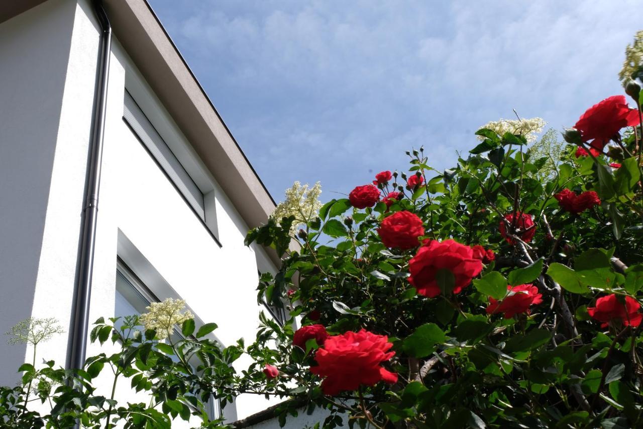 Apartment Le Rose Di Marianne - Sud Vahrn Bagian luar foto